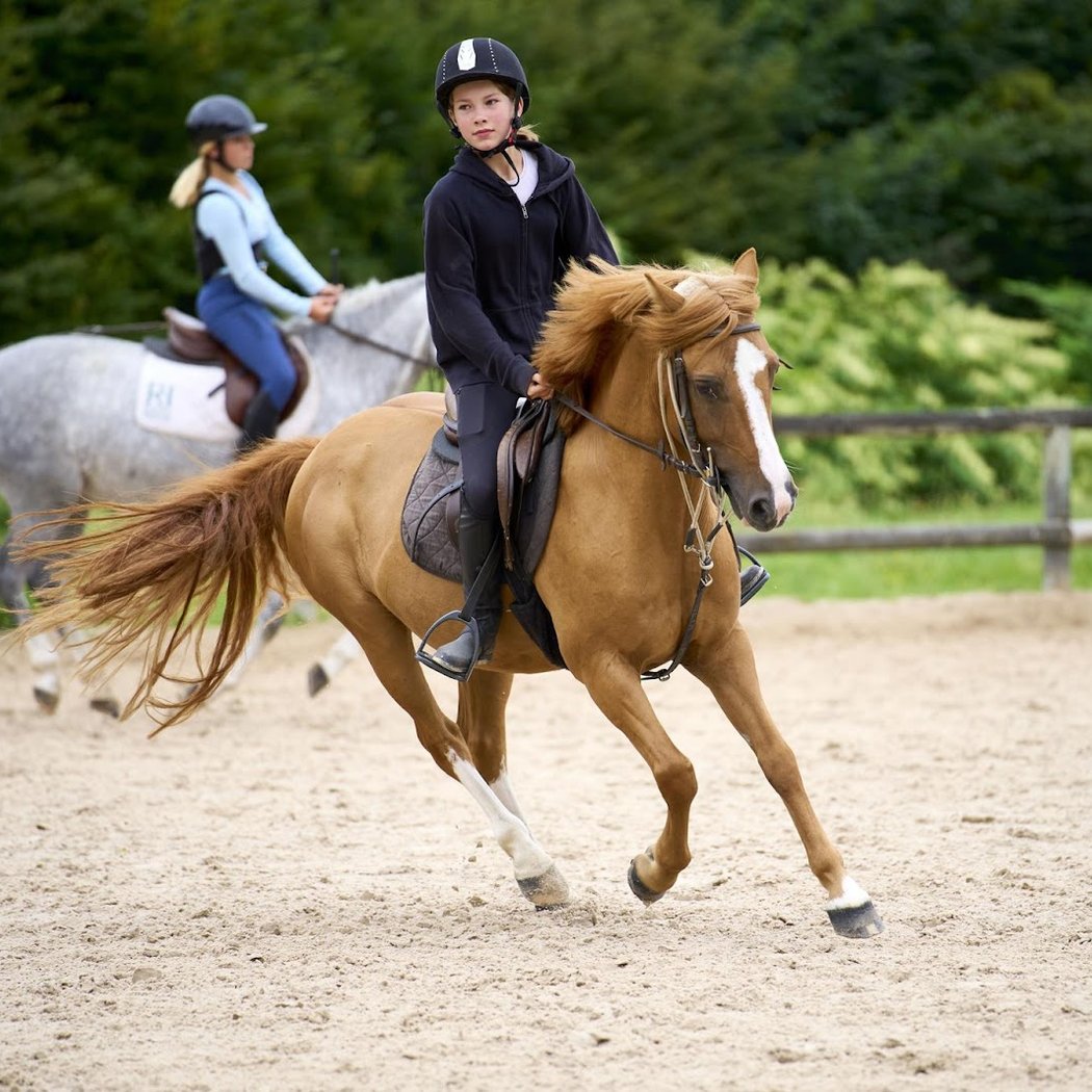 Pony Club - Leisure Island Vaires-Torcy 1